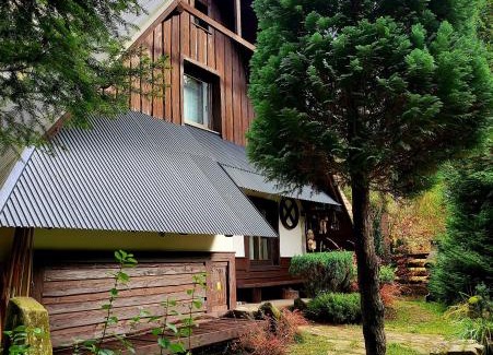 Niedzwiedz House | Dom Pod Salamandrą Koninki
