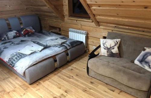 Krynica-Zdroj House | Dom pod Złotą Łyżwą