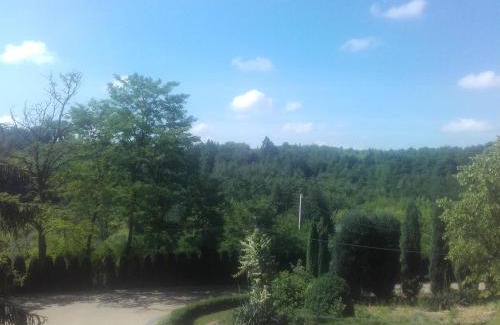 Dwikozy Apartment | Dom w Zielonej Dolinie