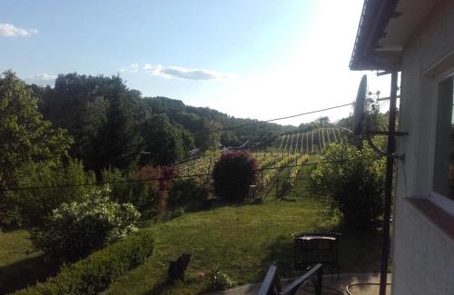Dwikozy Apartment | Dom w Zielonej Dolinie
