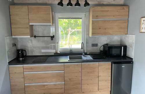 Goscino House | Dom wypoczynkowy Pod kasztanem 1 nad jeziorem