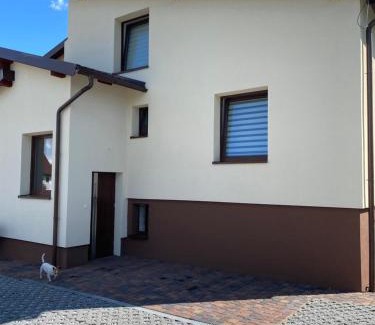 Dziemiany House | Dom z basenem i widokiem na łąkę