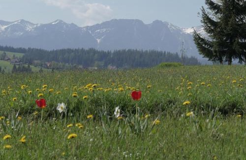 Czerwienne House | Dom z widokiem na Tatry