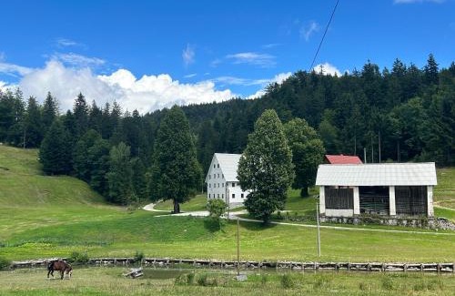 Gorenja Trebusa House | Domačija Gačnik