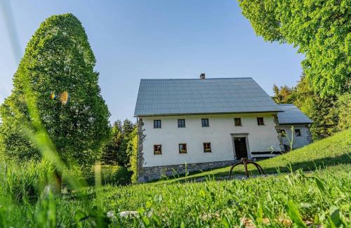 Gorenja Trebusa House | Domačija Gačnik