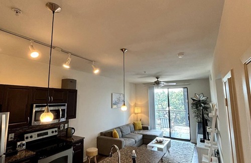 North Burnet Apartment | Domain Luxe Summary: