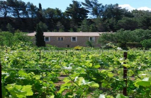 Pouzols-Minervois Bed & Breakfast | Domaine de "Creva-Tinas"