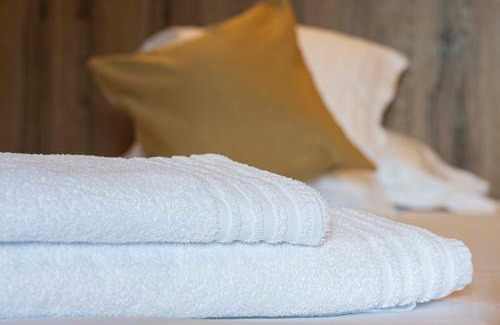 Les Salles Hotel | Domaine de la Plagnette