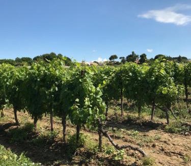 Roujan Bed & Breakfast | Domaine de Peilhan