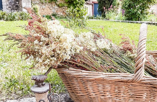 Tourtoirac Cottage | Domaine de Pragelier, le Magnolia in Tourtoirac