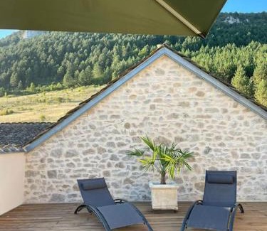 Millau House | Domaine des Combes - La Ferme aux Anes 14 pers.