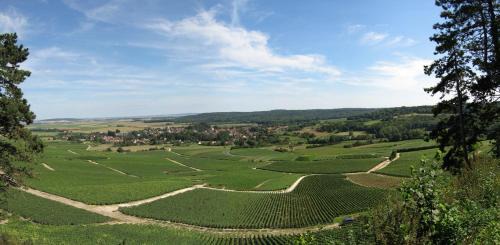 Hermonville House | Domaine des Grattières
