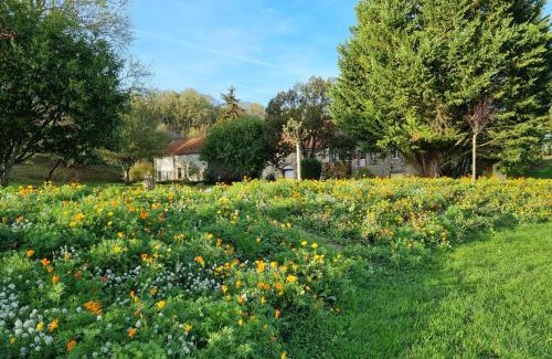 Chatillon-sur-Marne Bed & Breakfast | Domaine du Moulin de l'Etang