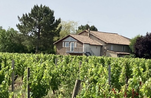 Lamothe-Montravel Apartment | Domaine le Mathelin - Studio Montravel - Un Séjour Dans les Vignobles
