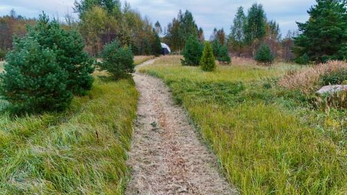 Pohja-Parnumaa Parish House | Dome & Sauna & River & BBQ