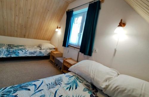 Ustrzyki Dolne Ski Chalet | domek Bieszczadzkie Brzegi