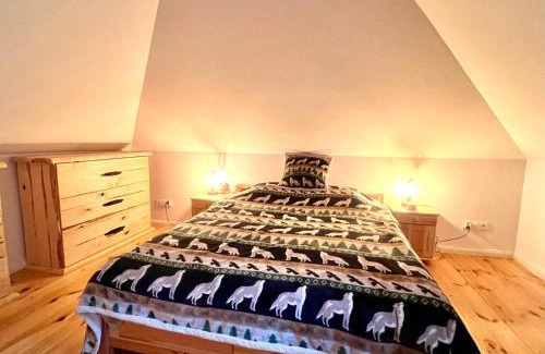 Borkow Apartment | Domek Borków