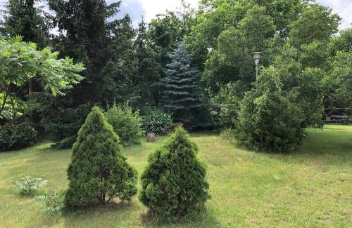 Orlinki House | Domek całoroczny blisko lasu i morza na urokliwej działce 4300 m2