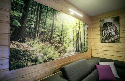 Sulecki Borek House | Domek całoroczny SÓWKA na Kaszubach z banią i sauną na wyłączność, wspólny basen i bilard z domkiem Jeleniówka - Ostrowite Leśna Dolina
