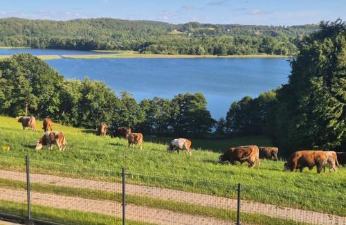 Garcz Villa | Domek na Kaszubach z jacuzzi i sauną, jezioro, las, Kaszuby, Widokownia Bukowinki