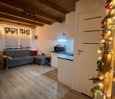 Muszyna Villa | Domek nad Popradem