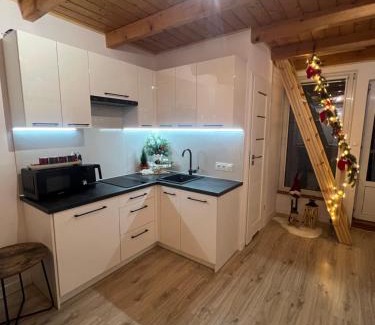 Muszyna Villa | Domek nad Popradem