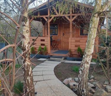 Pszczolki House | Domek pod Brzozami