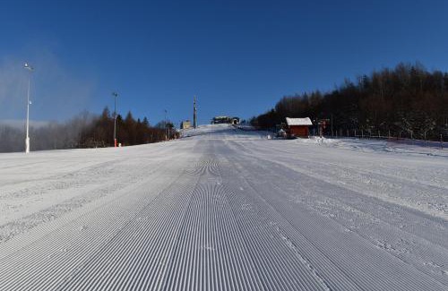 Czernichow Ski Chalet | Domek Pod Górą Żar