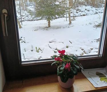 Kamienna Gora House | Domek Raszówka