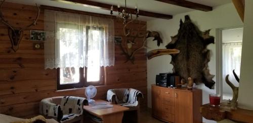 Zwierzyniec Cabin | DOMEK ROZTOCZE