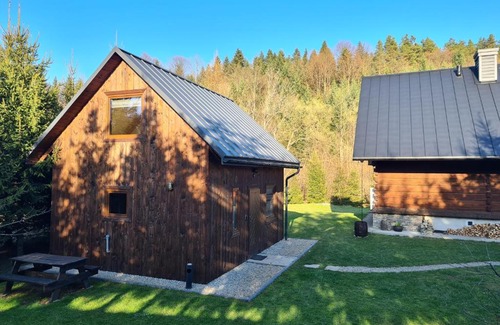 Baligrod Ski Chalet | Domek w Bieszczadach Mchawa 144