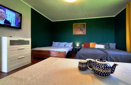 Miedzylesie Apartment | Domek w górach