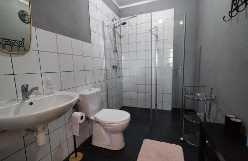 Miedzylesie Apartment | Domek w górach