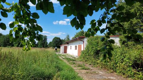 gmina Bodzechow House | Domek w pięknej okolicy