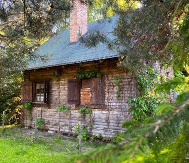 Gorklo House | Domek z prywatną plażą i sauną