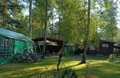 Kargowa House | Domek02 Ośrodek Wypoczynkowy Joanna Wojnowo Lubuskie