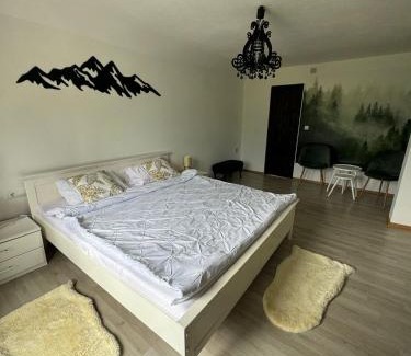 Bistrita Bargaului House | Domeniul Barabuc Colibita
