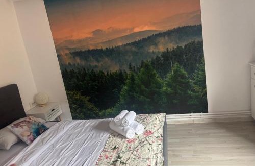 Bistrita Bargaului House | Domeniul Barabuc Colibita