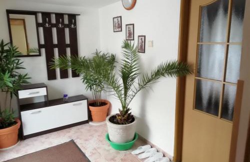 Korytne House | Domino