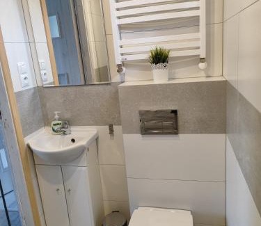 Solina House | Domki na Górce