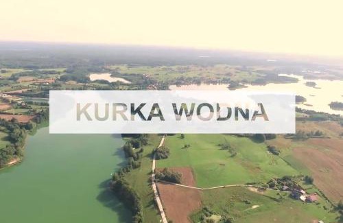 Faszcze House | Domki na Mazurach Kurka Wodna