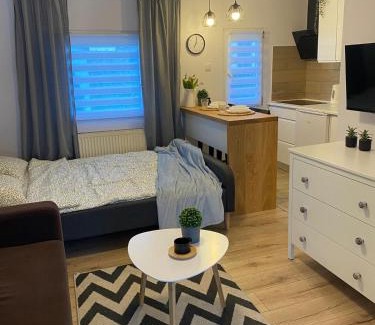 Czarna Dabrowka Cabin | Domki na skraju lasu
