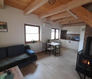 Stary Sacz House | Domki nad potokiem