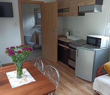 Miedzychod Villa | Domki pod Sosnami