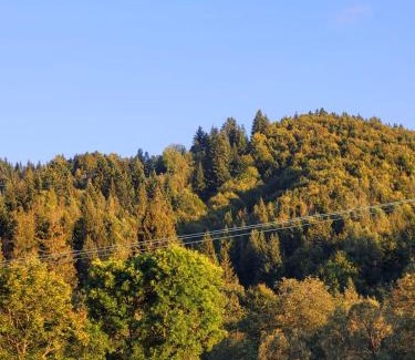 Wisla House | Domki U Uli