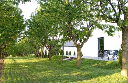 gmina Cmielow House | Domki w Winnicy - Świętokrzyska Winnica Knapów