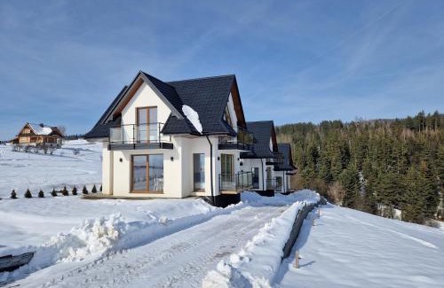 Nowy Targ Ski Chalet | Domki Wilcze Pole