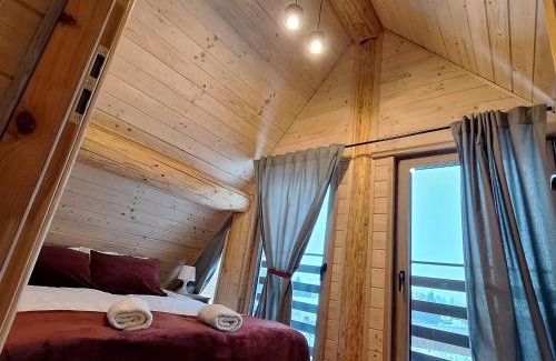 Obrazow Ski Chalet | Domki Wojtasówka