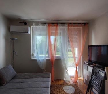 Vonyarcvashegy Apartment | Dorka apartman