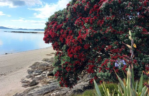 Maraetai House | Double private bedroom, five minutes to the beach and cafes,